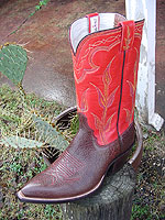 Chocolate Bullhide Boot w/Red Water Buffalo Top & Variegated Tulip Stitch
